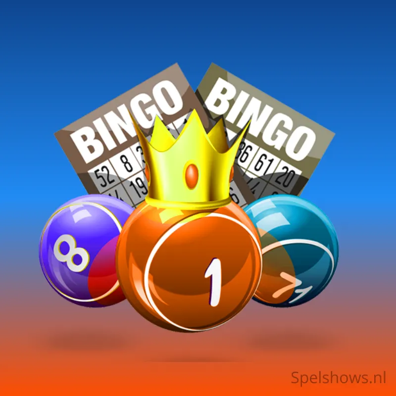 "Professionele Bingo-presentatie door Spelshows.nl, inclusief interactieve elementen en visuele flair voor een meeslepende spelervaring. Perfect voor evenementen, feesten en groepsactiviteiten."